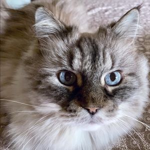 Meet your Posher, Lynnette